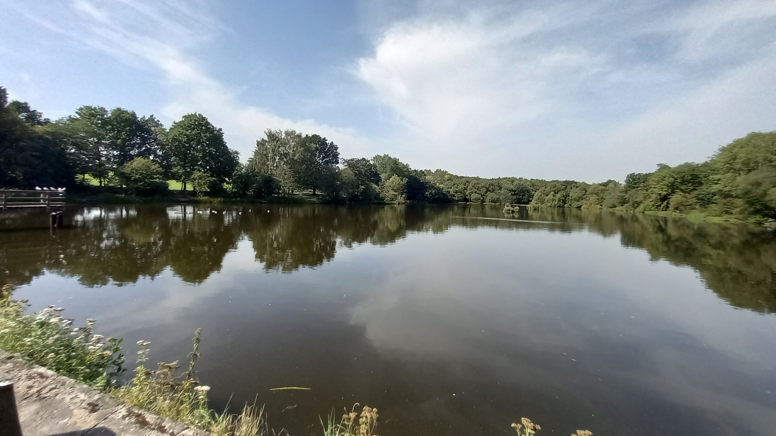 Young People's Forest at Mead Circular
