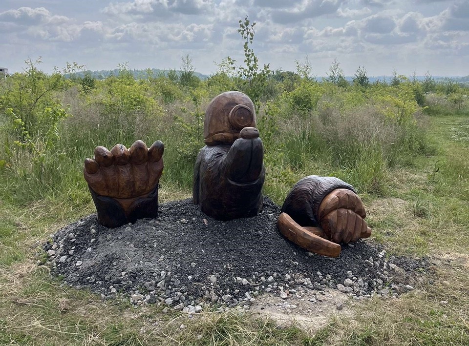 Young People's Forest at Mead Circular
